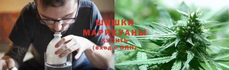 Марихуана White Widow  Боровск 